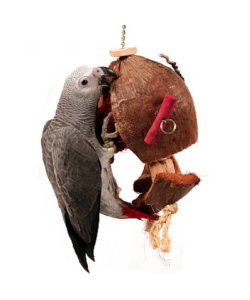 Coco De Nut - Large Natural Parrot Toy